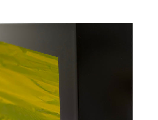 Vinyard - 48" x 72" Photography - Green