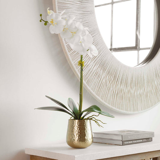 Cami Orchid - Orchid With Brass Pot - White