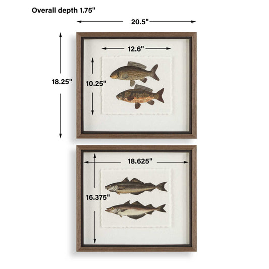 The Catch - Framed Fish Prints (Set of 2) - Black / Brown / Gray / Green / Orange / Woodtone