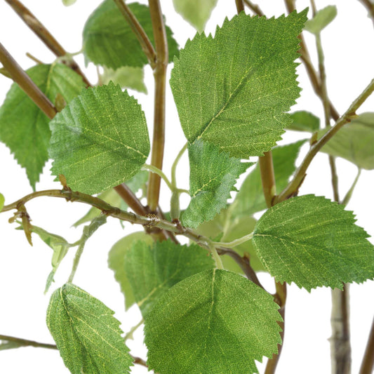 Nigra - Birch Vase Centerpiece - Green