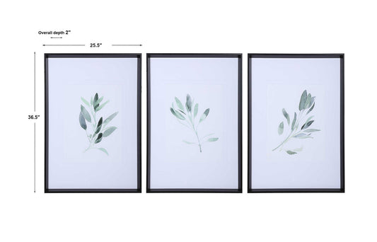 Simple Sage - Watercolor Prints (Set of 3) - White