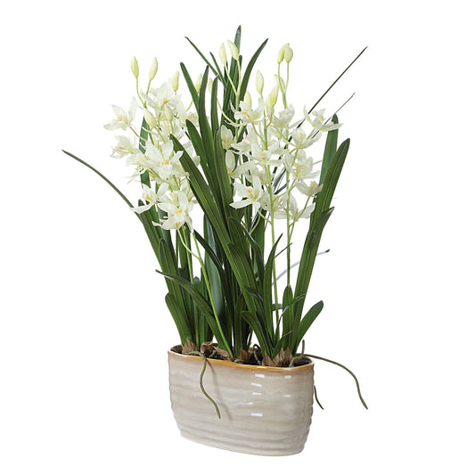 Ariana Orchid - Planter - Gray