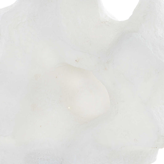 Remnant - Sculptures (Set of 2) - White