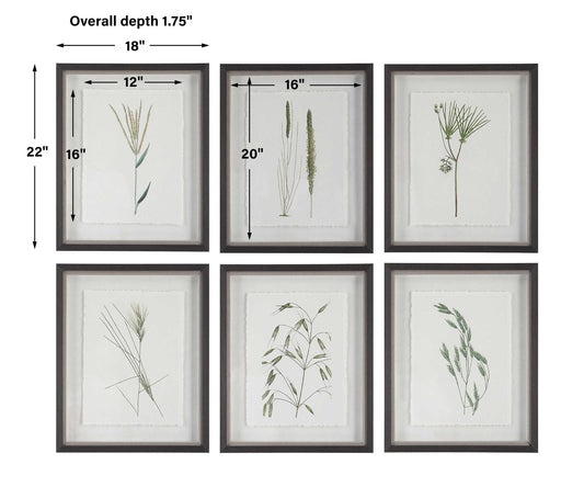 Forest - Finds Framed Prints (Set of 6)