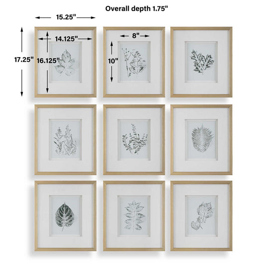 Nature's - Script Framed Botanical Prints (Set of 9) - Gold / Green / White