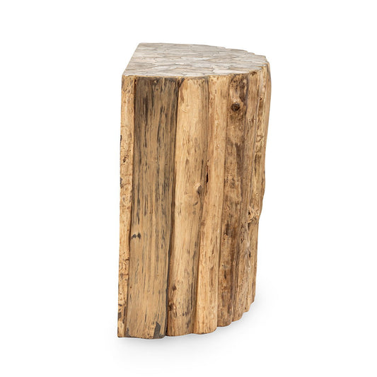 Norwest Petrified - Wood Console Table - Natural