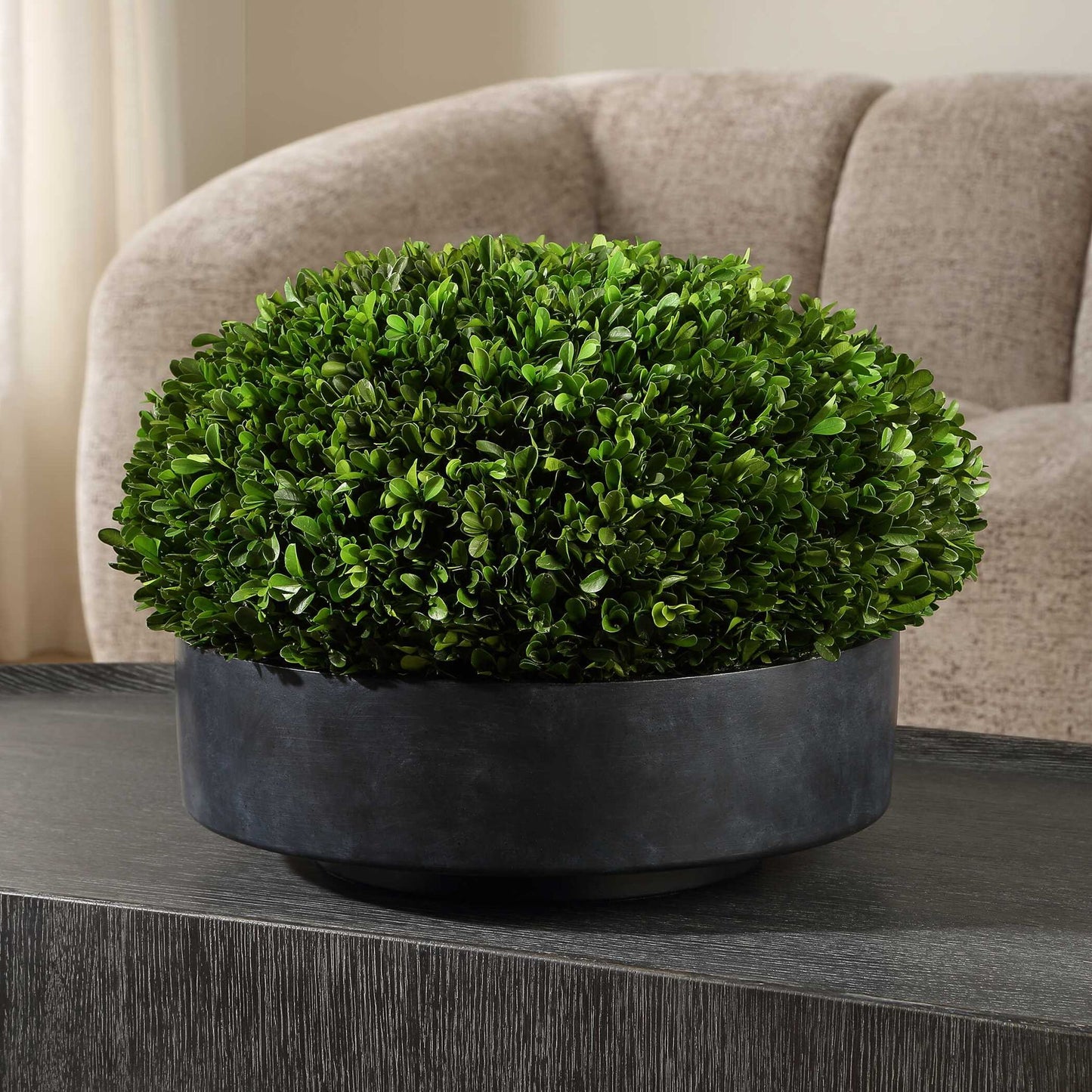Verdana - Boxwood Centerpiece In Bowl - Gray / Green