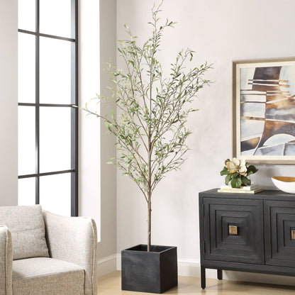 Abundance - Potted Olive Tree - Black
