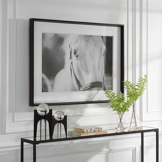 Eyes On The Prize - Framed Print - White