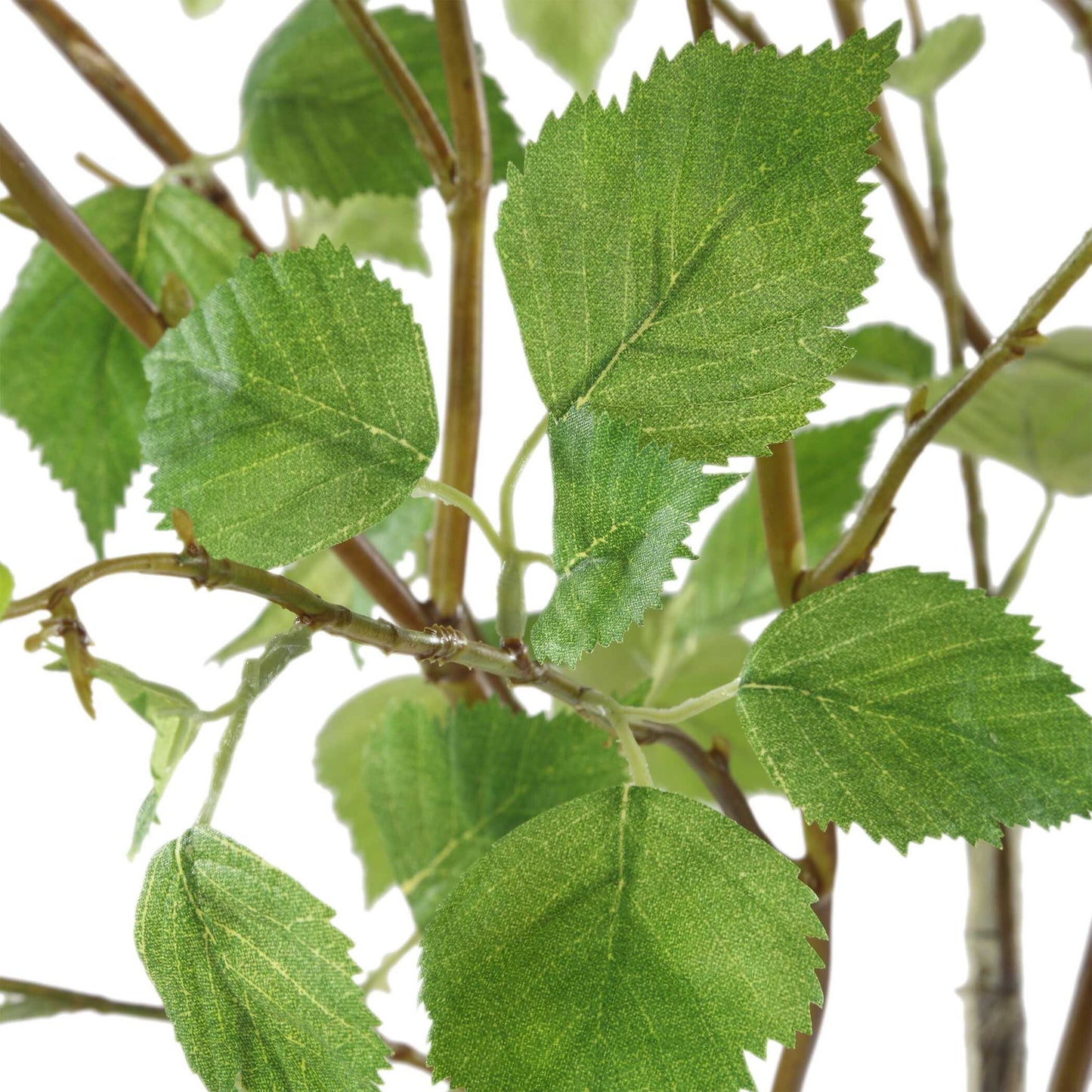 Nigra - Birch Vase Centerpiece - Green