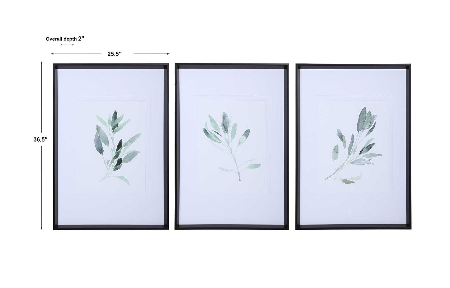 Simple Sage - Watercolor Prints (Set of 3) - White