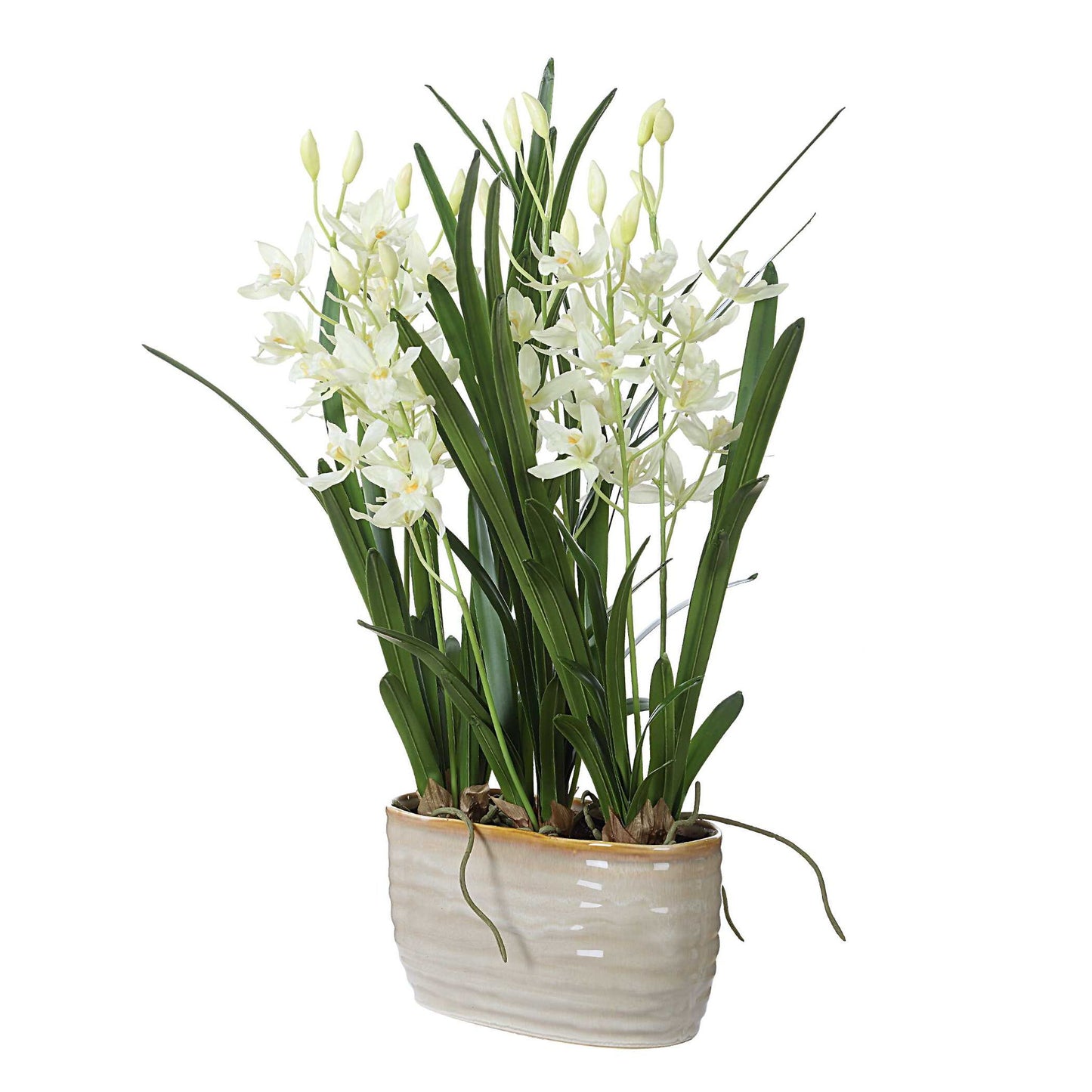 Ariana Orchid - Planter - Gray