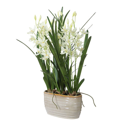 Ariana Orchid - Planter - Gray