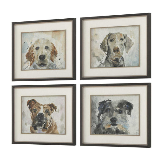 Dog Days - Framed Prints (Set of 4) - Black / Blue / Brown / Gray / Orange / White