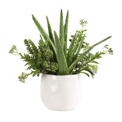 Sundown Succulent - Accent Planter - Green / White