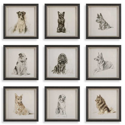 Loyal Companion - Framed Dog Prints (Set of 9)