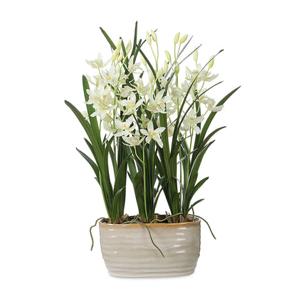 Ariana Orchid - Planter - Gray