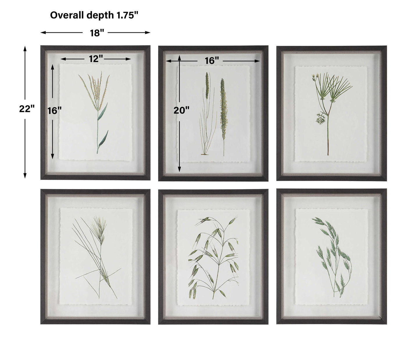 Forest - Finds Framed Prints (Set of 6)