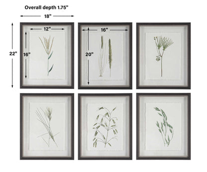 Forest - Finds Framed Prints (Set of 6)