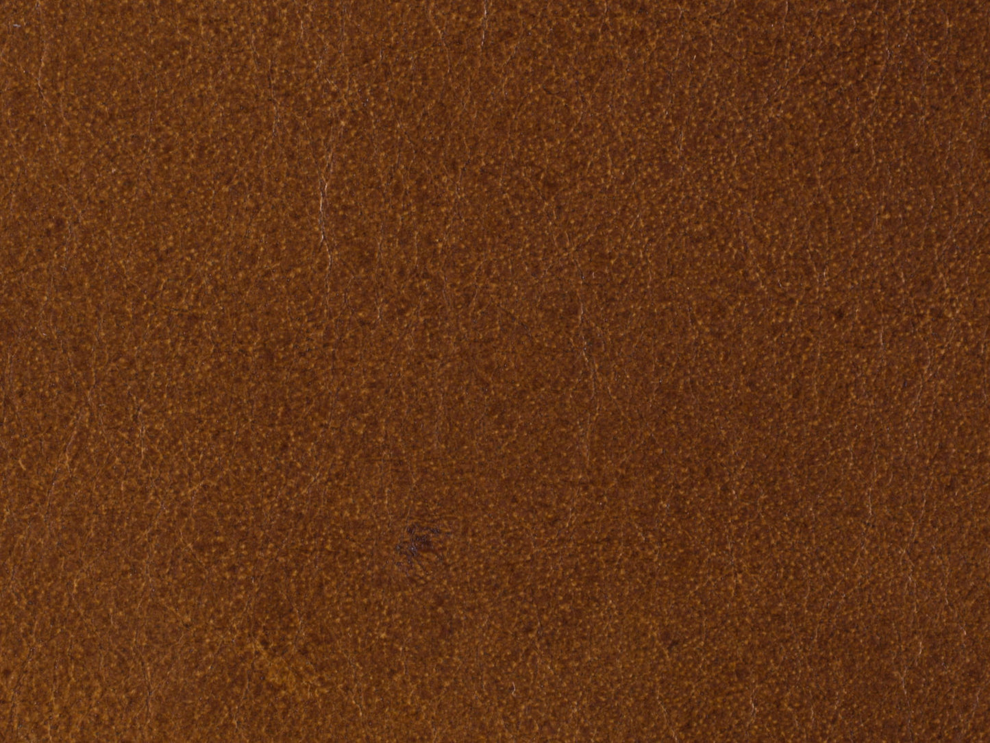 CC - Hamrick Club Chair - Light Brown