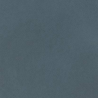 Cassiano - Slip Cover Sofa