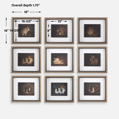 Resting Bunny - Framed Prints (Set of 9) - Dark Brown