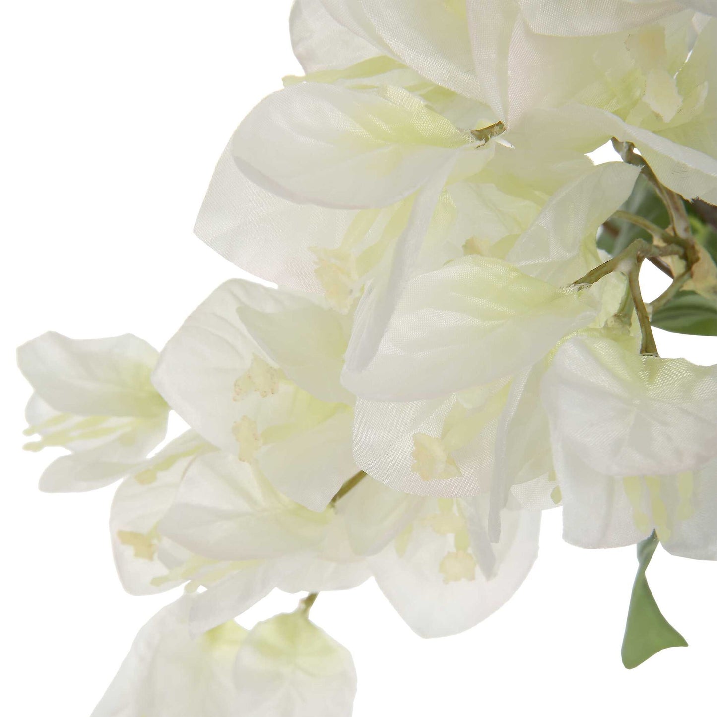 Antiparos - Bougainvillea Centerpiece - Pearl Silver