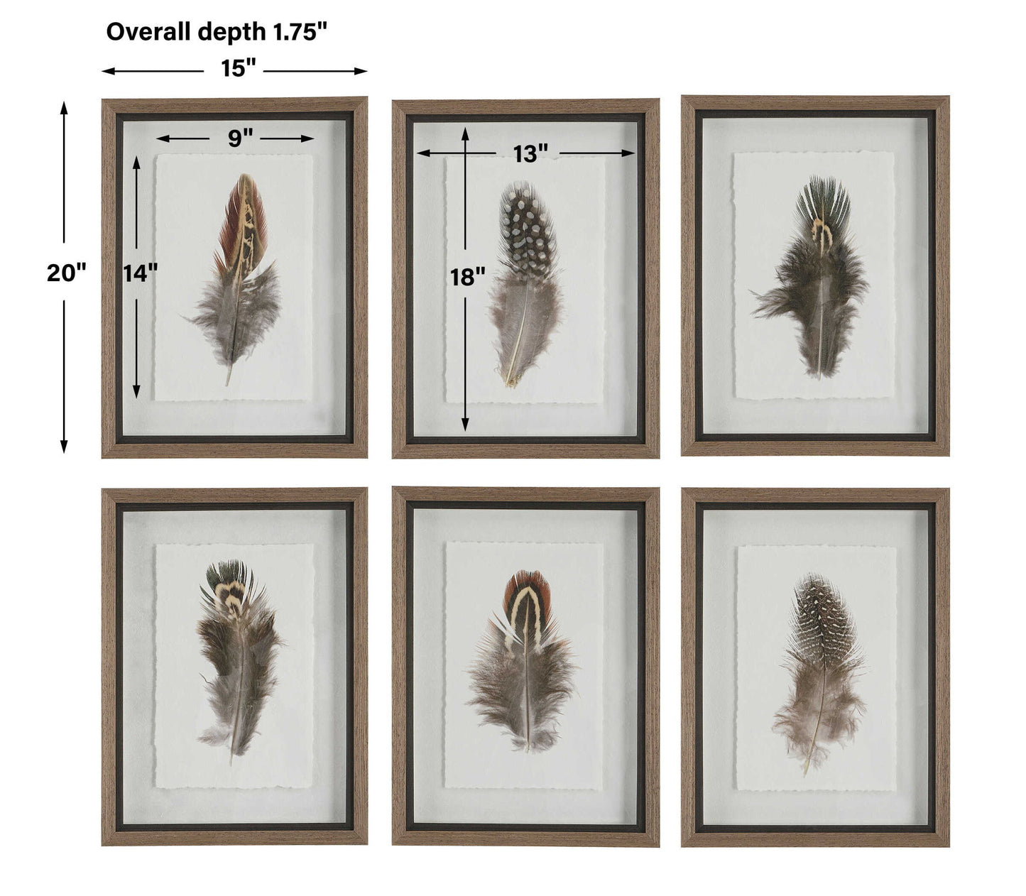 Birds Of A Feather - Framed Prints (Set of 6)