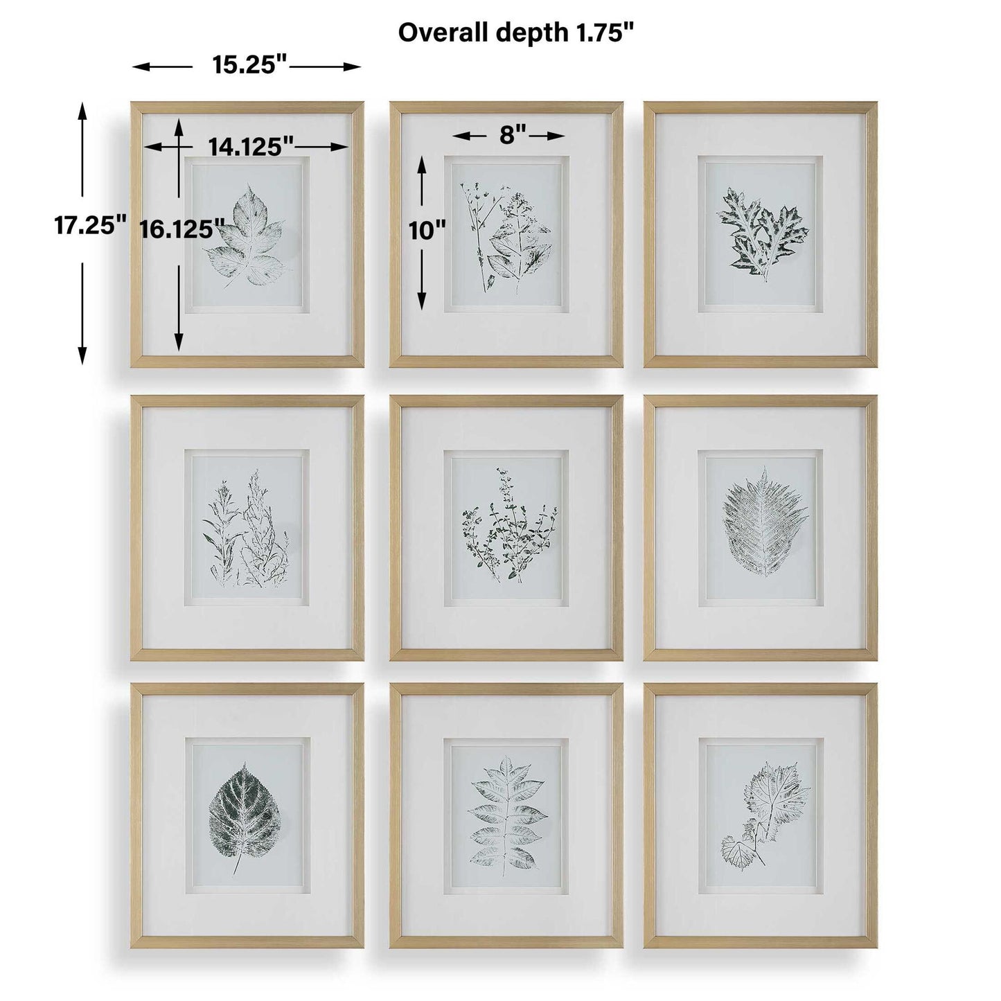Nature's - Script Framed Botanical Prints (Set of 9) - Gold / Green / White