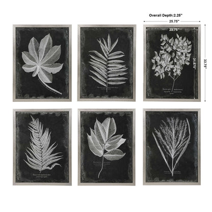 Foliage - Framed Prints (Set of 6) - Black