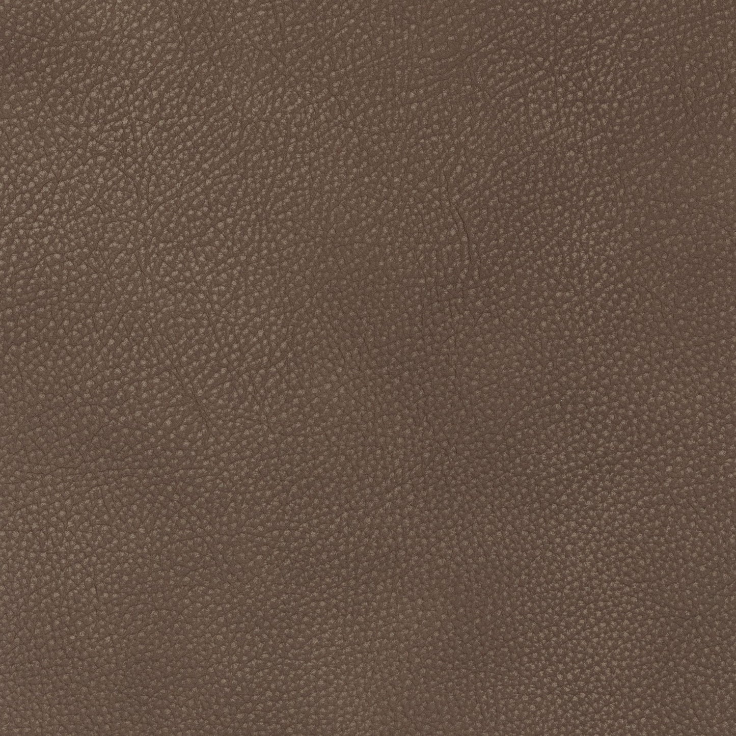 Cassiano - Slip Cover Sofa