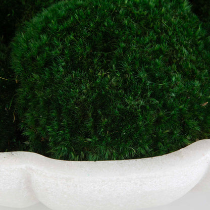 Awaken Moss - Centerpiece - Green / White
