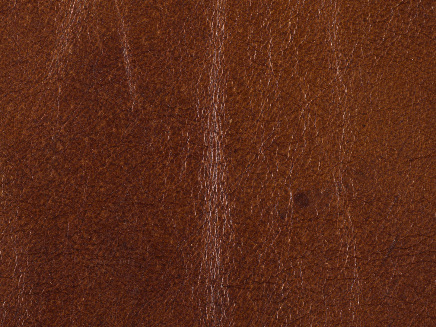 SS - Exton Stationary Sofa