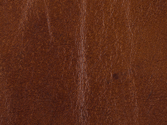 SS - Exton Stationary Sofa