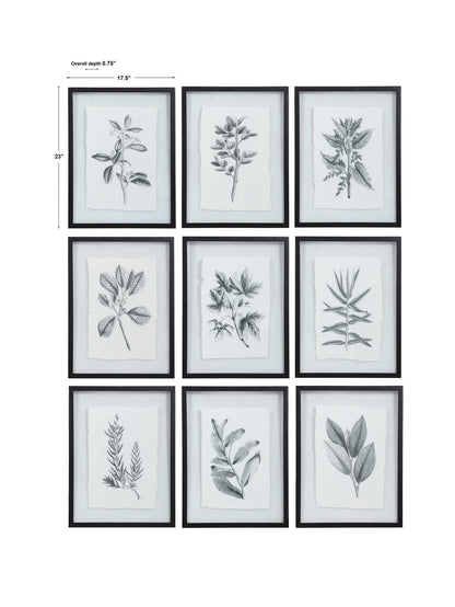 Farmhouse Florals - Framed Prints (Set of 9) - Black