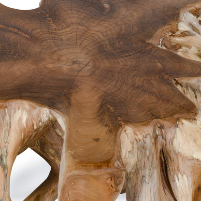 Cypress - Teak Root Coffee Table