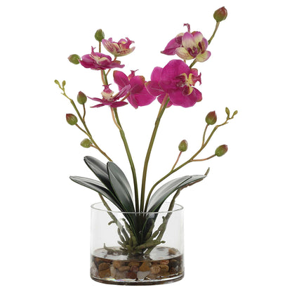 Glory Orchid - Fuchsia Orchid - Pearl Silver