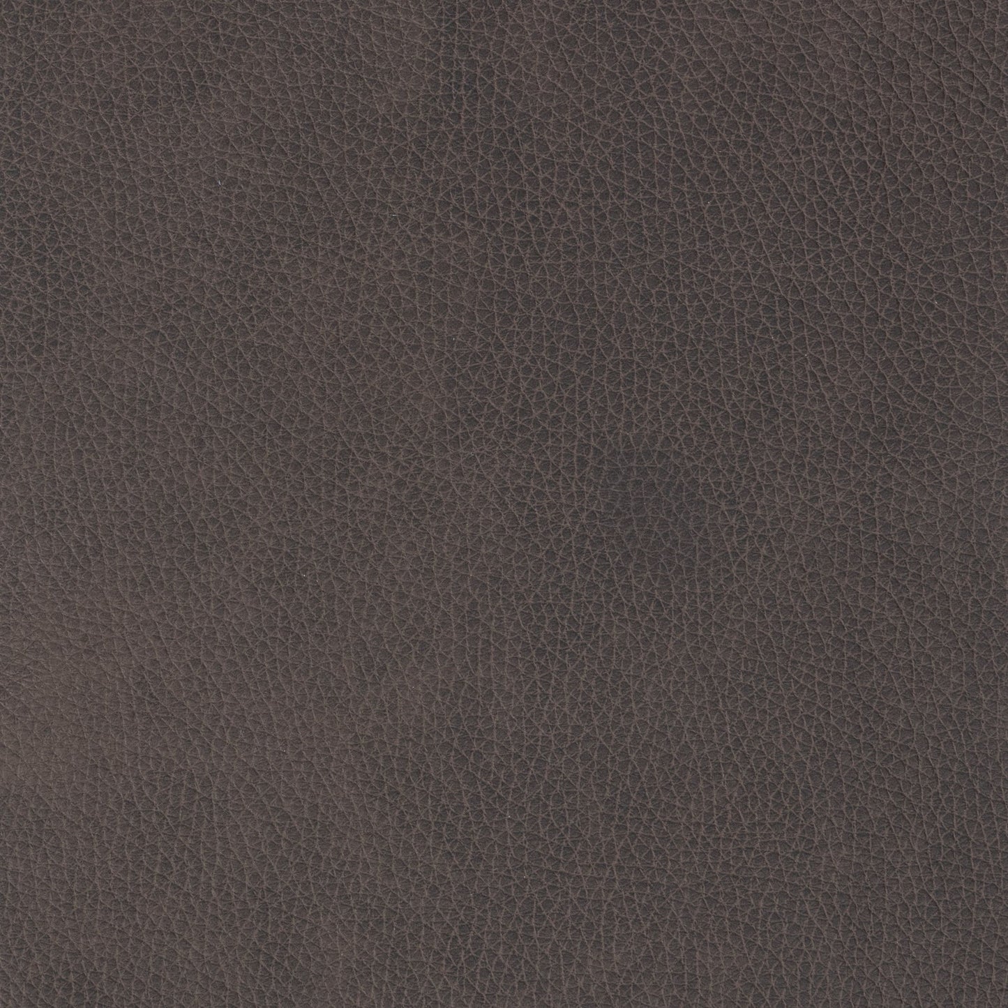 Cassiano - Slip Cover Sofa