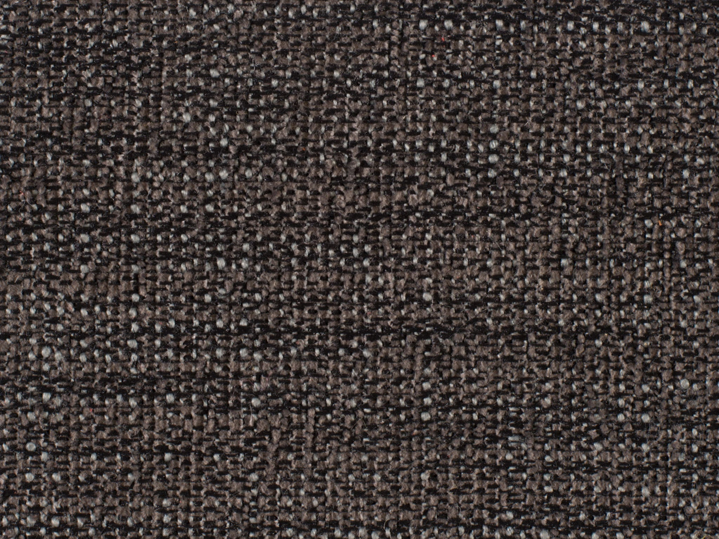 Curata - Upholstered Chair - Dark Gray