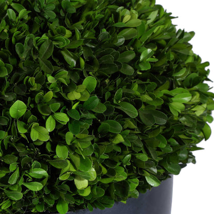 Verdana - Boxwood Centerpiece In Bowl - Gray / Green