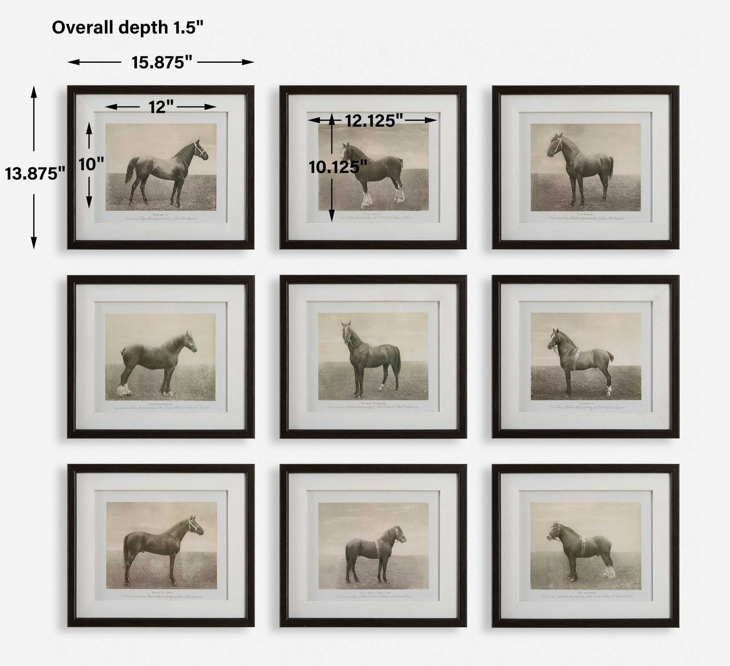 Equine Dynasty - Framed Prints (Set of 9)